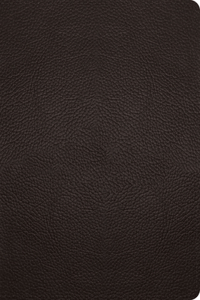 ESV Study Bible, Large Print