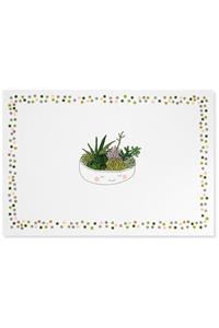 Note Card Succulents