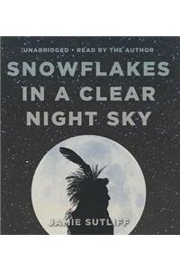 Snowflakes in a Clear Night Sky