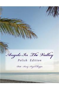 Angels in the Valley- Polish
