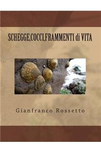 SHEGGE, COCCI, FRAMMENTI di VITA