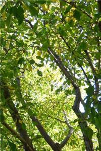 Cherry Tree Journal