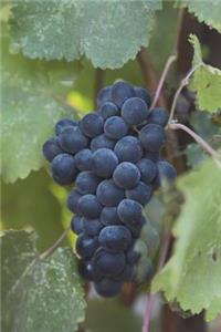 The Cabernet Grapes Journal: 150 Page Lined Notebook/Diary