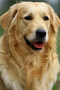 Happy Golden Retriever Dog Portrait Journal