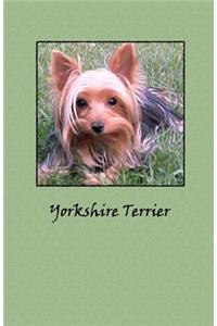 Yorkshire Terrier Notebook