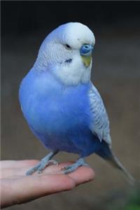 Totally Adorable Blue Parakeet Pet Bird Journal