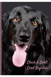 Check & Debit Card Register (BONUS Notes area/7 X 10 inches)