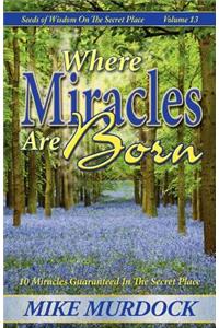 Where Miracles Are Born (Seeds Of Wisdom on The Secret Place, Volume 13)