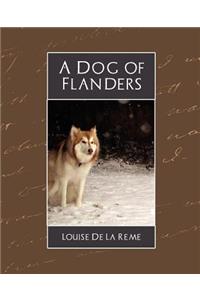 Dog of Flanders