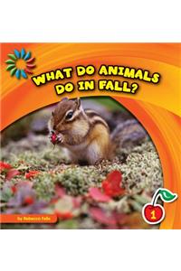 What Do Animals Do in Fall?