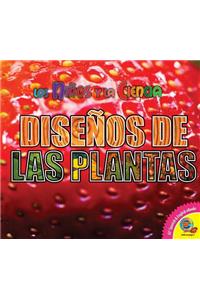Disenos de las Plantas