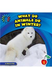 What Do Animals Do in Winter?