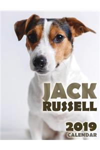 Jack Russell 2019 Calendar