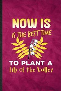 Now Is the Best Time to Plant a Lily of the Valley