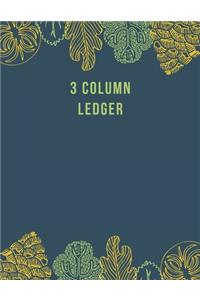 3 Column Ledger