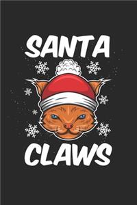 Christmas cat Christmas claws claws