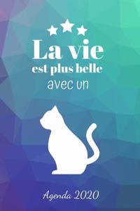La vie est plus belle avec un chat