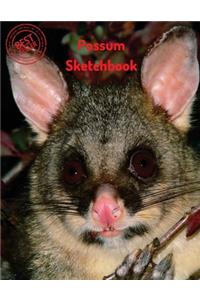 Possum Sketchbook