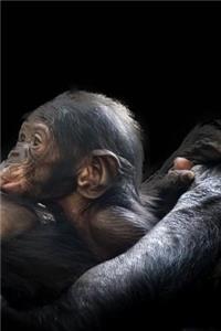 Gorilla Notebook - Journal Gift for Cute Animal Lovers