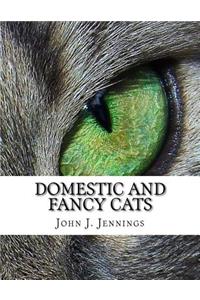 Domestic and Fancy Cats