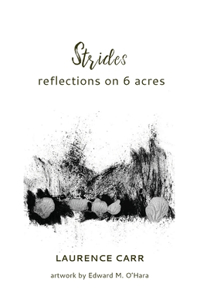 Strides