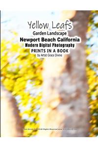 Yellow Leafs Garden Landscape Newport Beach California Modern Digital Photography PRINTS IN A BOOK by Artist Grace Divine