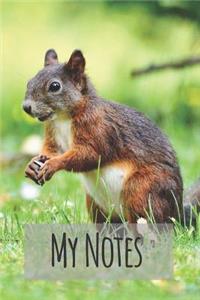 My Notes