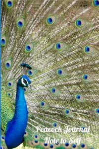 Peacock Journal Note to Self