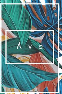 Ava's Notebook