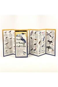 Birds of the Northern & Western Gulf Coast