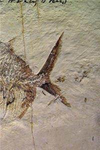 Notebook Fossil Fish