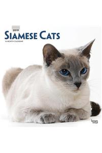 Siamese Cats 2019 Square Wall Calendar