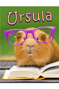 Ursula