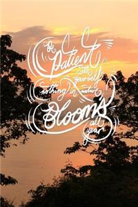 Be patient with yourself, nothing in nature blooms all year