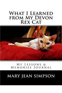 What I Learned from My Devon Rex Cat