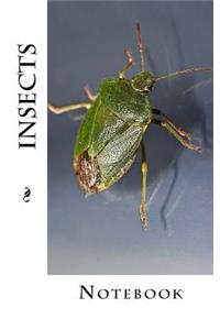 Insects