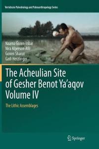 Acheulian Site of Gesher Benot Ya'aqov Volume IV