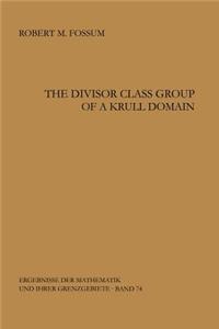 Divisor Class Group of a Krull Domain