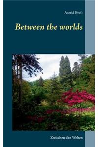 Between the worlds