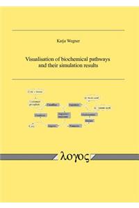 Visualisation of Biochemical Pathways and Their Simulation Results