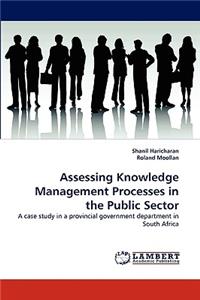 Assessing Knowledge Management Processes in the Public Sector