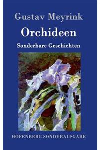 Orchideen