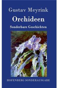 Orchideen