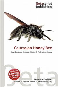 Caucasian Honey Bee