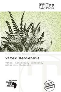 Vitex Keniensis