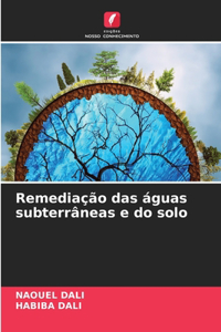 Remediação das águas subterrâneas e do solo