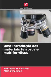 Uma introdução aos materiais ferrosos e multiferróicos