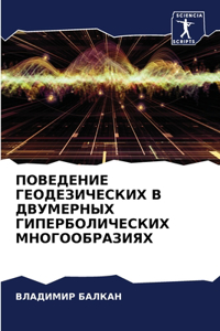ПОВЕДЕНИЕ ГЕОДЕЗИЧЕСКИХ В ДВУМЕРНЫХ ГИПЕ