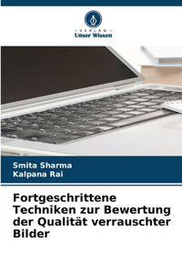 Fortgeschrittene Techniken zur Bewertung der Qualität verrauschter Bilder