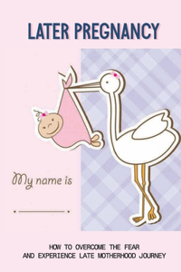 Later Pregnancy How To Overcome The Fear And Experience Late Motherhood Journey